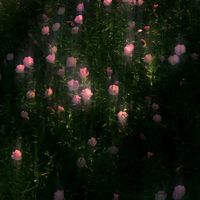 代購｜吃谷團