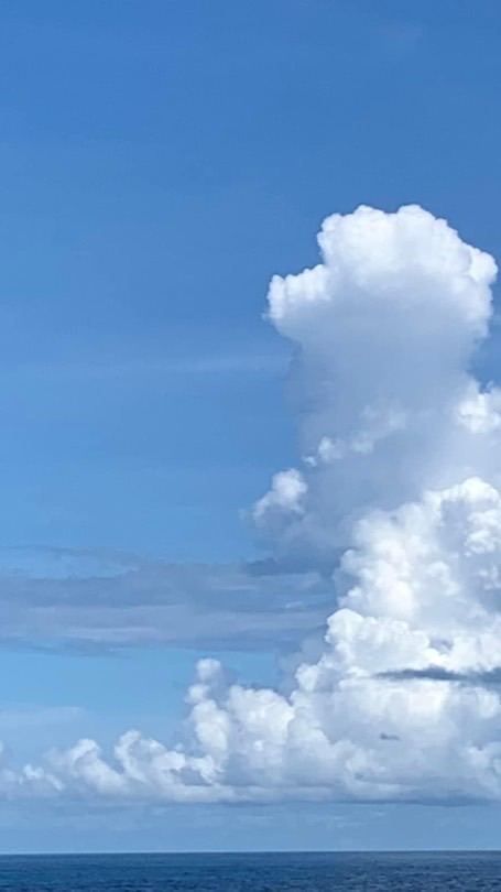 小蘋果影片社群