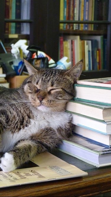 ✎ ̼ 讀書會📖