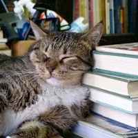 ✎ ̼ 讀書會📖