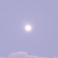 荒らし報告局