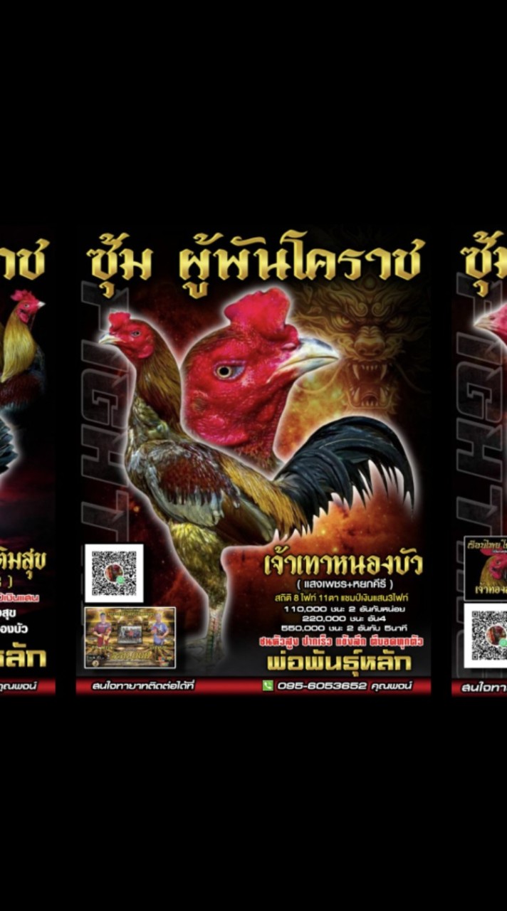 ผู้พัน โคราช เทาหนองบัว