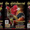 ผู้พัน โคราช เทาหนองบัว