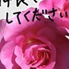 ドライブが観光がしたいから🥀
