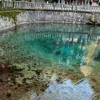 🎉真・広島ポケカ🎉新弾再販を集める会✨トレカ、ワンピ、ドラゴンボールもやるし、少し山口もやるよ👍