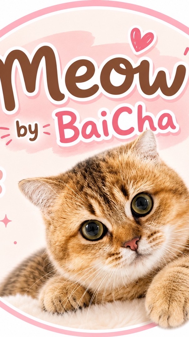 🐈 Meow by BaiCha