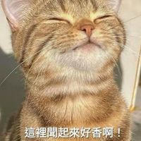 🌈CD TS TG 偽娘 姊妹大家庭👩‍❤️‍👩