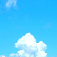 雑談用トークルーム