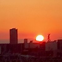 ねこん杯　文面ラップバトル
