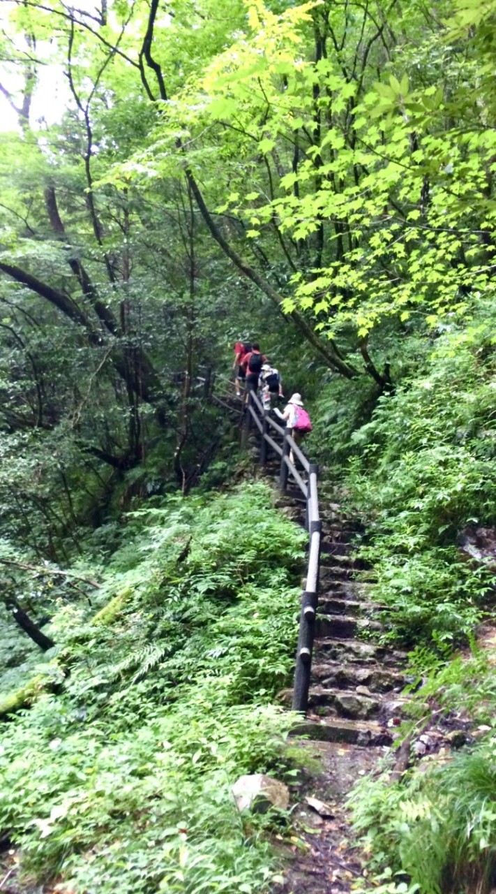 40代〜50代女子 登山（関東）