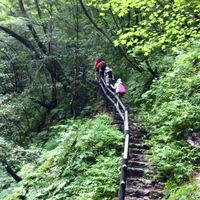 40代〜50代女子 登山（関東）
