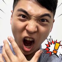 驚奇小狼團