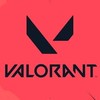 成人済み限定cs版Valorant(ヴァロラント)募集
