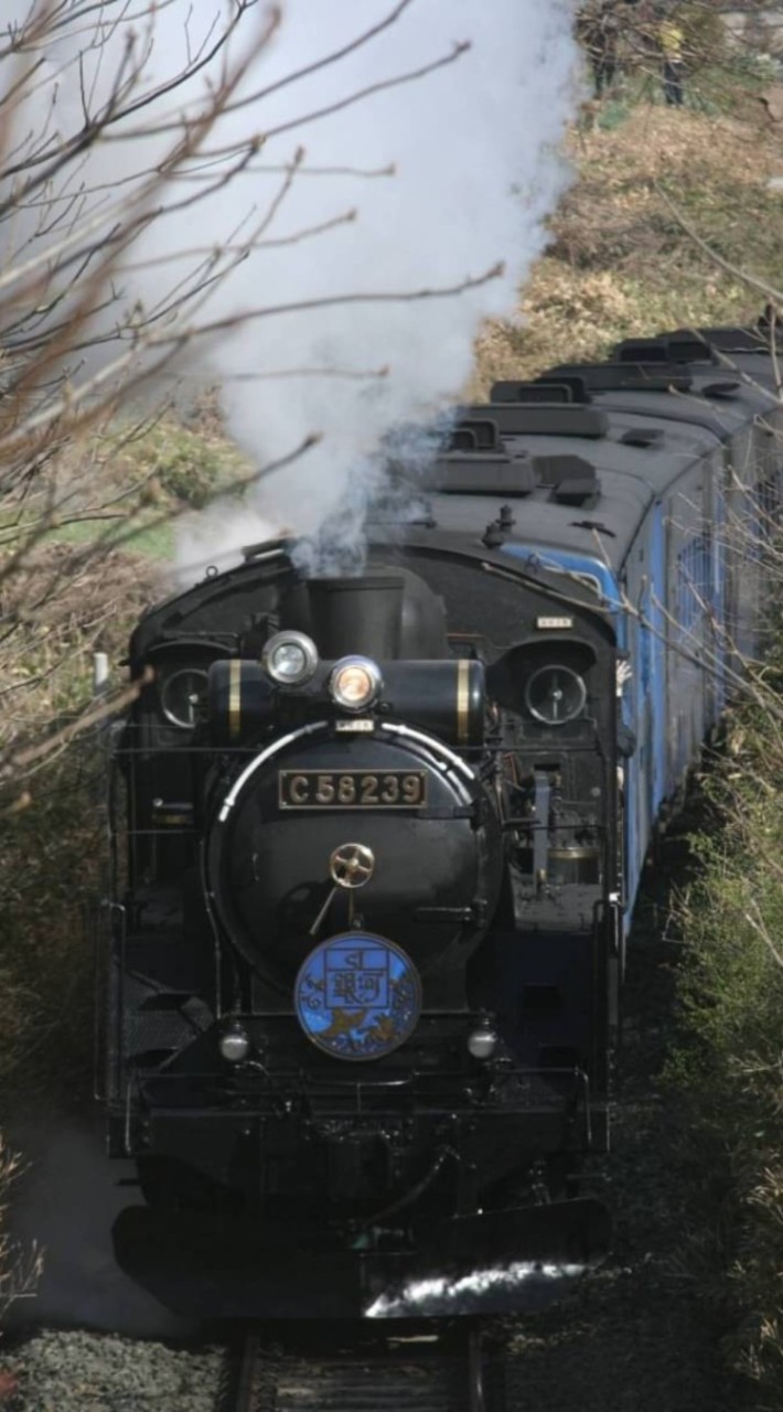 AJURCA 〜皆で楽しむ架空鉄道グル〜