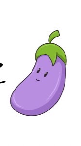 ナスのおうち