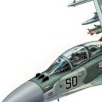 兵器オプ