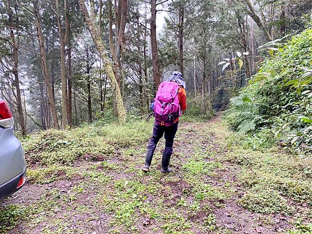 南橫小關山林道登留佐屯山 小斯拉巴庫山 美瓏山 健行筆記 Line Today