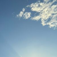 そこの貴方が需要です ‼️‼️何でもあり⁉️新設全緩ハント❣️今なら気分で副官あげますよ気分で‼️