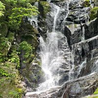start-up