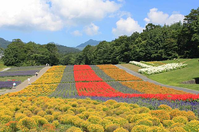 不只北海道有薰衣草 關東最大薰衣草園群馬縣避暑看紫色花海 Japan Walker Hk Line Today