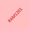 RAM1201