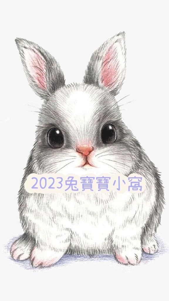 2023兔寶寶媽咪小窩❤️