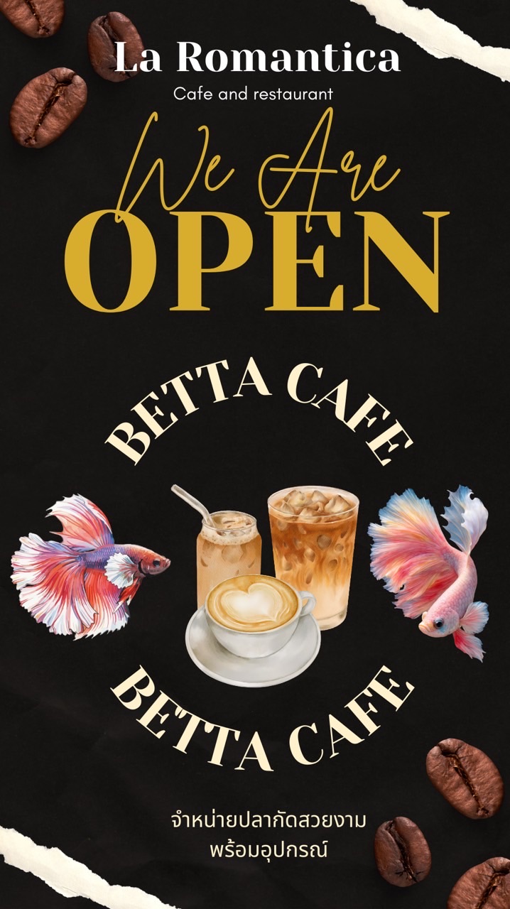 Betta cafe La Romantica 🐠