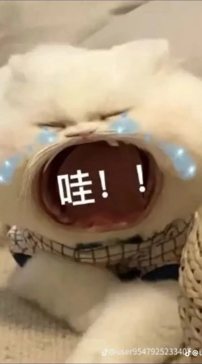 抱怨群？（！