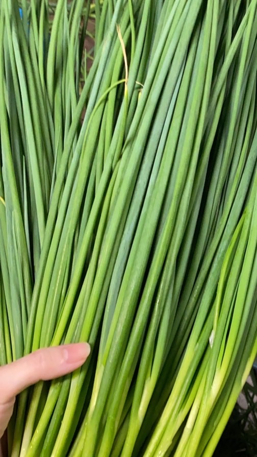 OpenChat ねぎちょと絆🫶🏻