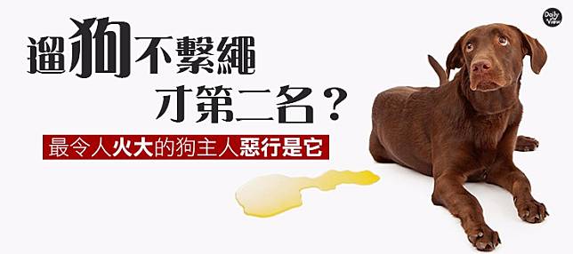 遛狗不繫繩才第二名 最令人火大的狗主人惡行是它 Dailyview 網路溫度計 Line Today