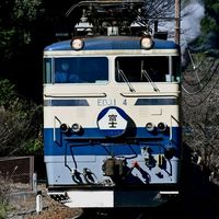 ㊗️半年🎉[TimeTreeあり!]  [定スジbotあり!] 257(公式) スジ公開&鉄道雑談