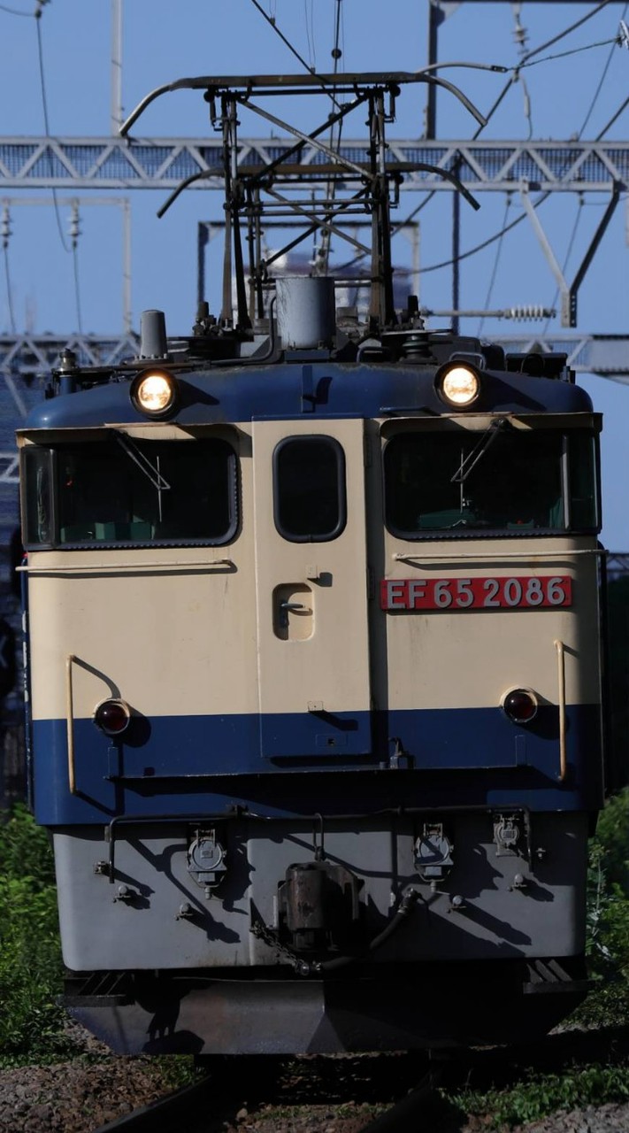 [TimeTreeあり!] [定スジbotあり!]  257(公式)スジ公開&鉄道雑談