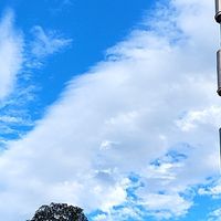 自由國度（歡迎入坑）