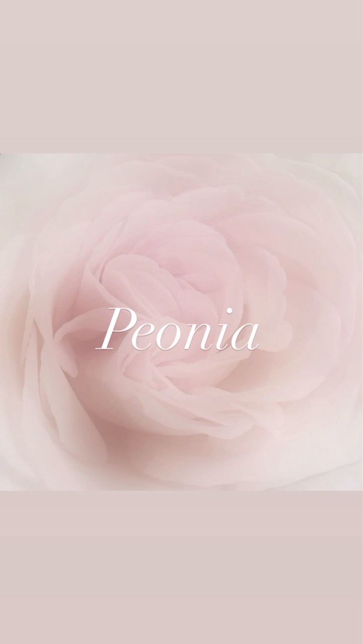 Peonia🎀