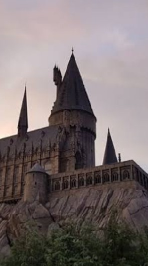 🔮 Hogwarts school🔮