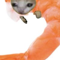 โรงเรียนกุ้งเวียนหัว