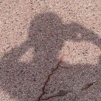 白狐のオプチャ