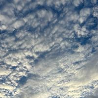 余白、雑談、少しギター