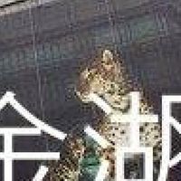 我是金湖人