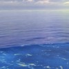 勉強わからない人どんな人でもおいでぇ〜〜〜！