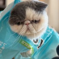 7月16日スヌピさん送別会コンペ