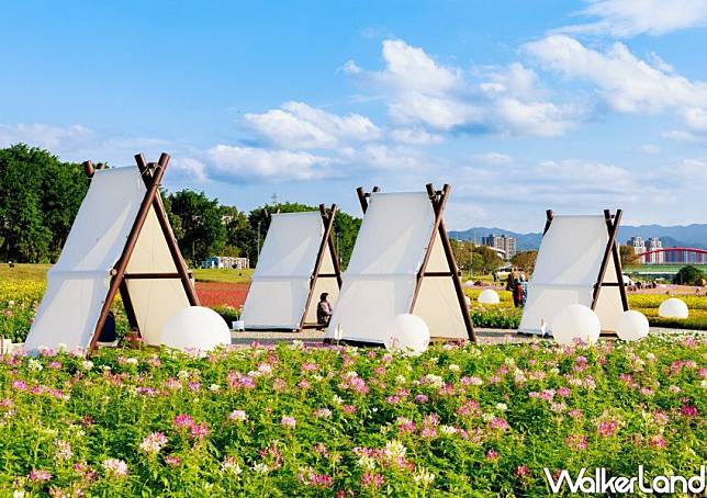 古亭河濱公園花海 / WalkerLand窩客島整理提供 未經許可不可轉載。