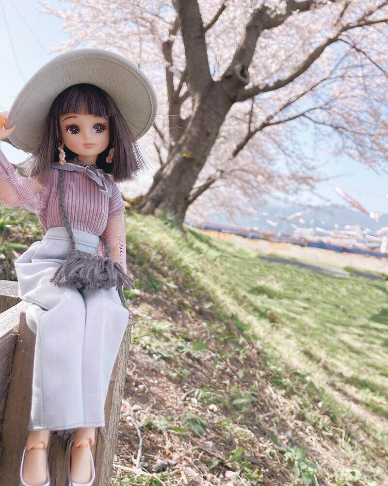 リカちゃん」発売55年後の再ブーム！大人の女性が“リカ活”にハマる理由 ...