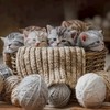 中高生の子あつまれーい！