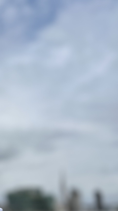 素食者也能喝的心靈雞湯