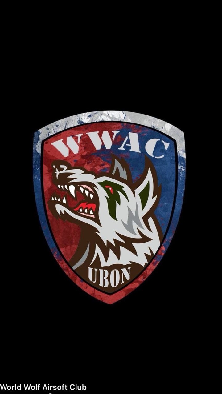 World Wolf Aisoft League #1