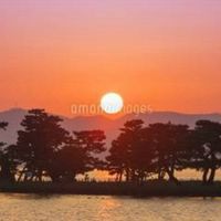 🌸新着🌸大人の４０代から🌈🌈仲間作り雑談部屋🌸恋バナ🌹