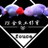 FS進口金魚工作室