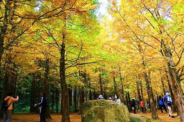 ▲圖片來源：愛上杉林溪fb