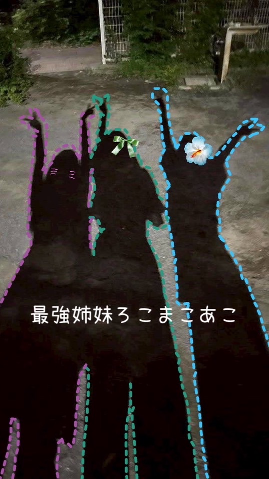 ろこまこあこちゃん好きな人集合